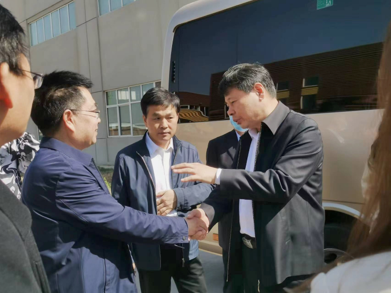 鼓勵飛鷺再創輝煌